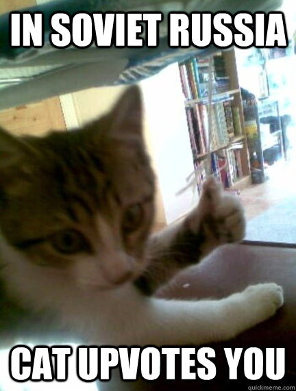 in soviet russia cat upvotes you -
