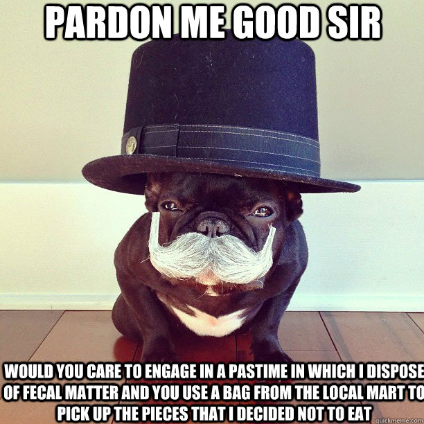pardon me good sir would you care to engage in a pastime in - High Class Hound