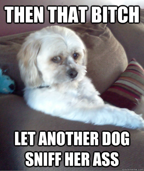 then that bitch let another dog sniff her ass -