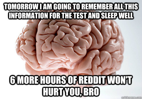 tomorrow i am going to remember all this information for the - Scumbag Brain