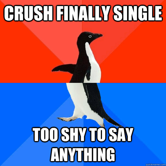crush finally single too shy to say anything - Socially Awesome Awkward Penguin