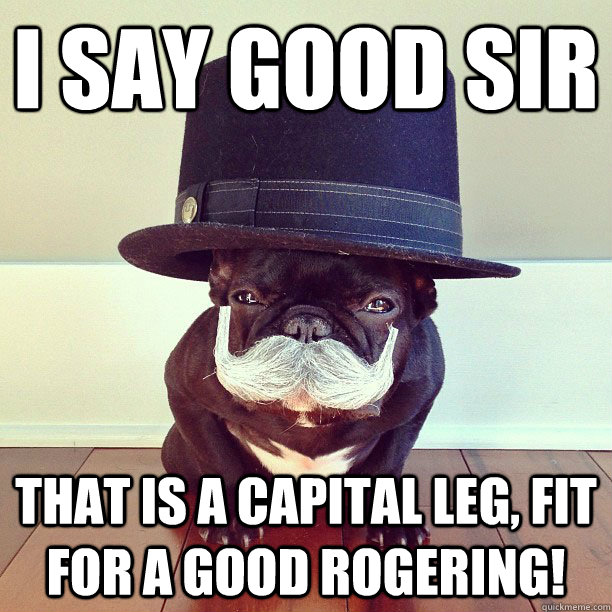 i say good sir that is a capital leg fit for a good rogerin -