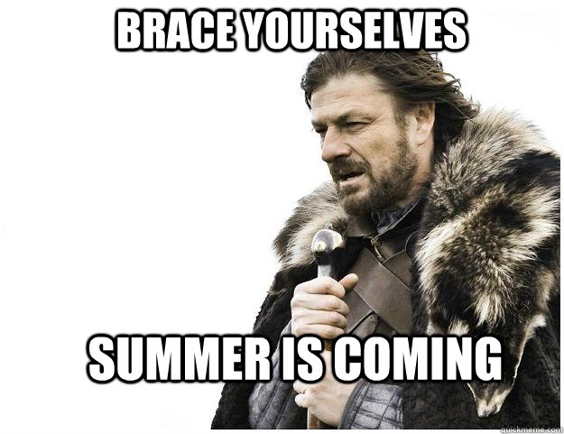 brace yourselves summer is coming - Imminent Ned