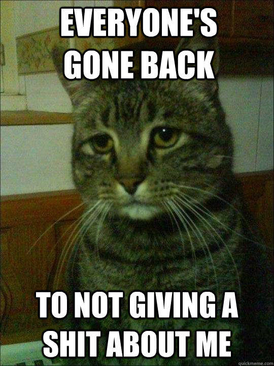 everyones gone back to not giving a shit about me - Depressed cat