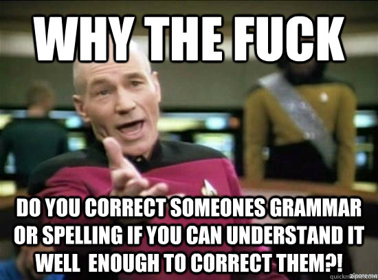 why the fuck do you correct someones grammar or spelling if - Annoyed Picard HD