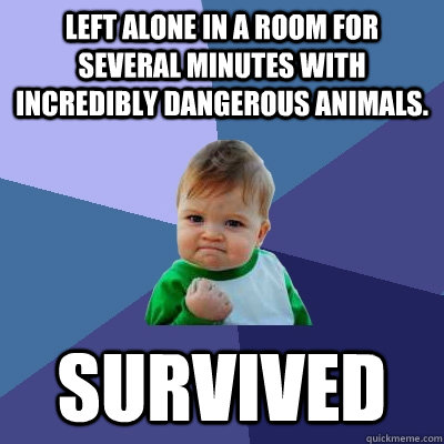 left alone in a room for several minutes with incredibly dan - Success Kid