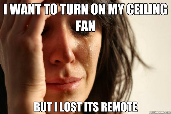 i want to turn on my ceiling fan but i lost its remote - First World Problems
