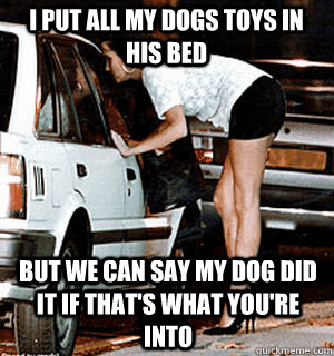 i put all my dogs toys in his bed but we can say my dog did - Karma Whore