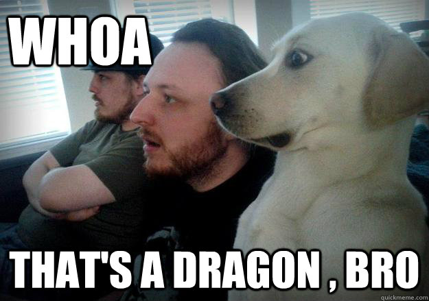 whoa thats a dragon bro -