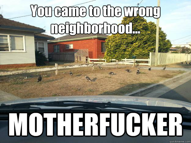 you came to the wrong neighborhood motherfucker - Magpie Thugs