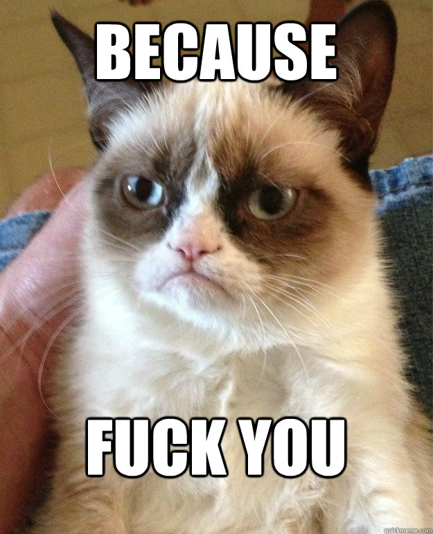 because fuck you - Grumpy Cat
