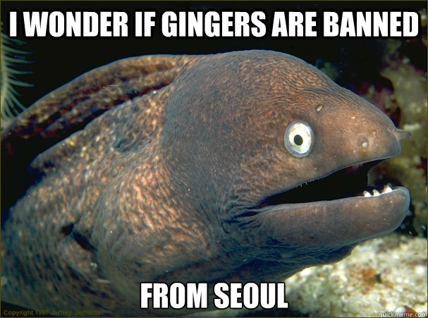 i wonder if gingers are banned from seoul - Bad Joke Eel