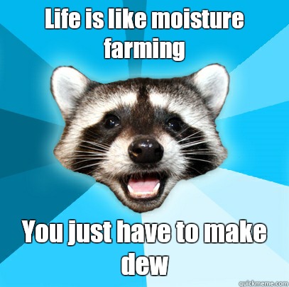 Life is like moisture farming He was unBEARable - Lame Pun Coon