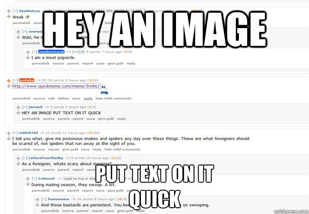 hey an image put text on it quick - reddit jerk