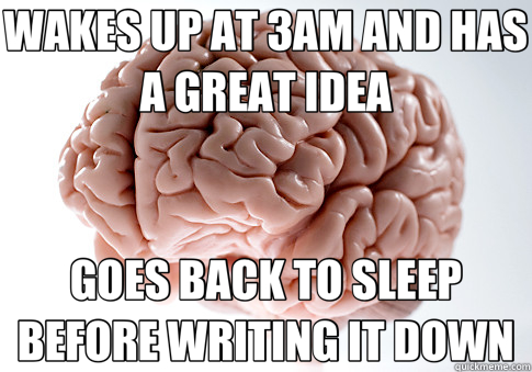 WAKES UP AT 3AM AND HAS A GREAT IDEA GOES BACK TO SLEEP BEFO - Scumbag Brain