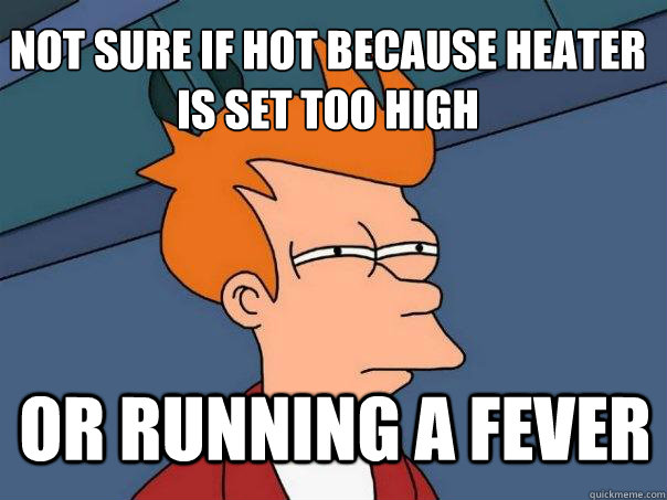 not sure if hot because heater is set too high or running a - Futurama Fry