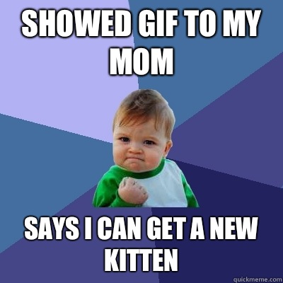 Showed gif to my mom Says I can get a new kitten - Success Kid