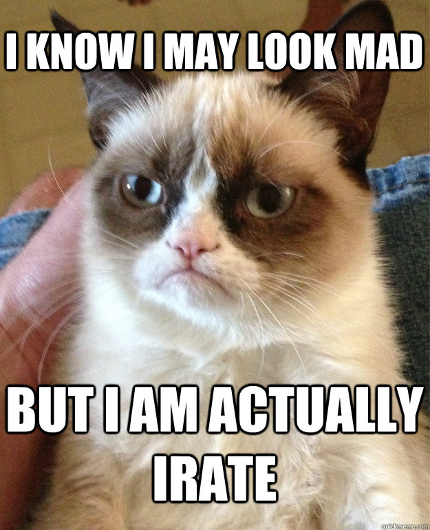 i know i may look mad but i am actually irate - Grumpy Cat