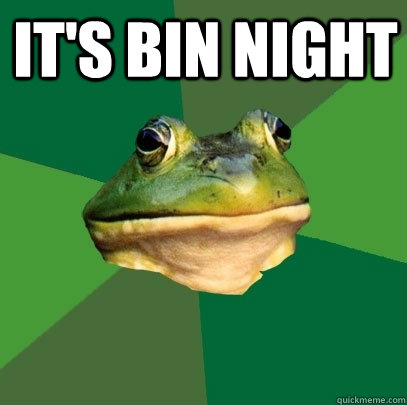 its bin night - Foul Bachelor Frog