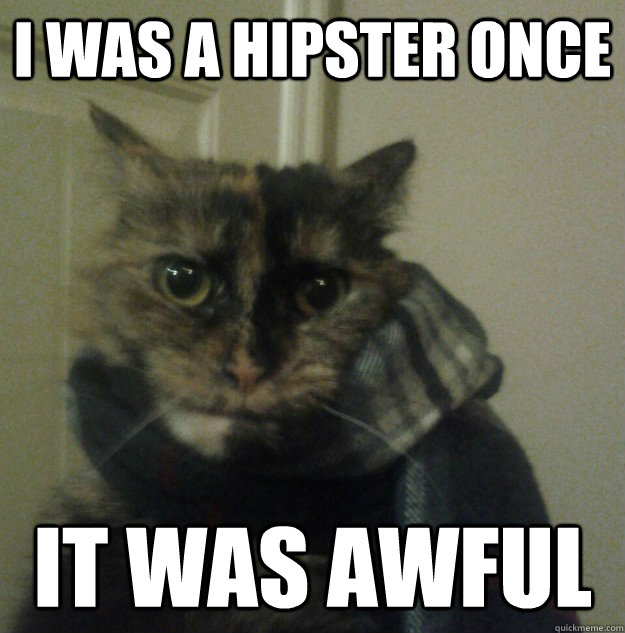 i was a hipster once it was awful - Hipster Cat