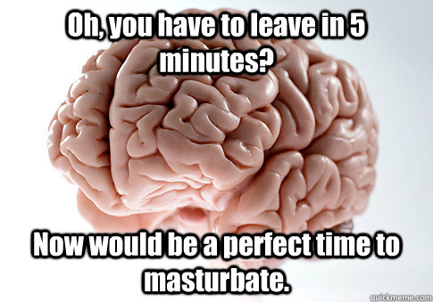 oh you have to leave in 5 minutes now would be a perfect t - Scumbag Brain