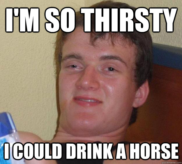 im so thirsty i could drink a horse - 10 Guy