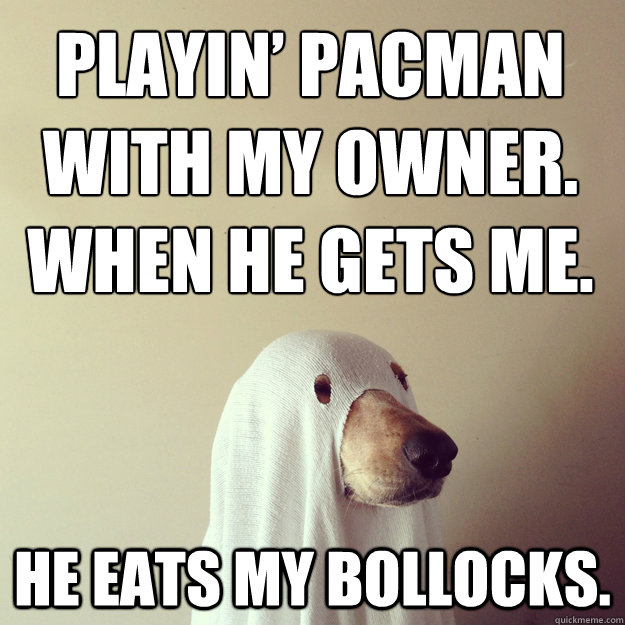 playin pacman with my owner when he gets me he eats my bo - Ghostdog