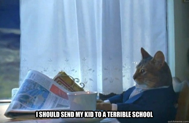 i should send my kid to a terrible school - Sophisticated Cat