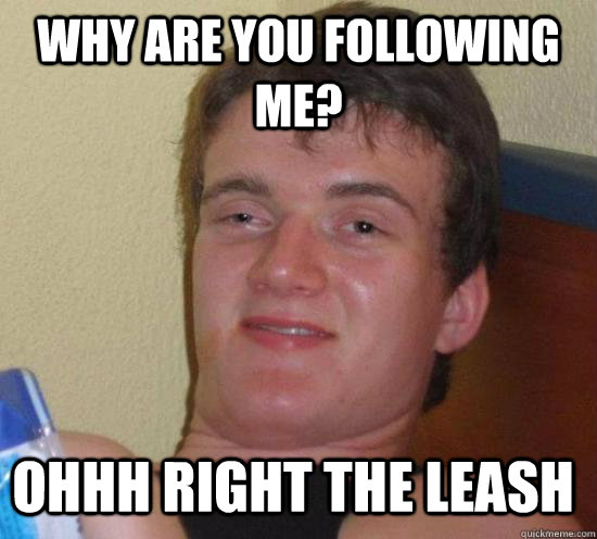 why are you following me ohhh right the leash - 10 GUY