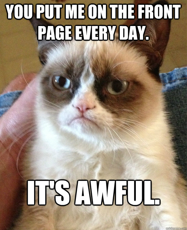you put me on the front page every day its awful - Grumpy Cat