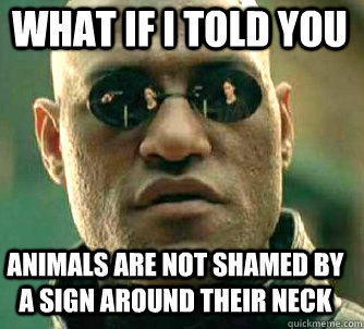 what if i told you animals are not shamed by a sign around t - Matrix Morpheus