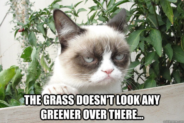the grass doesnt look any greener over there -