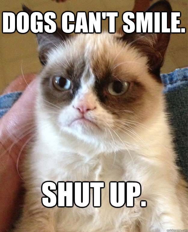 dogs cant smile shut up - Grumpy Cat