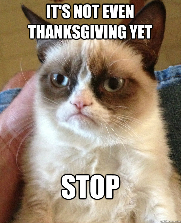 its not even thanksgiving yet stop - Grumpy Cat