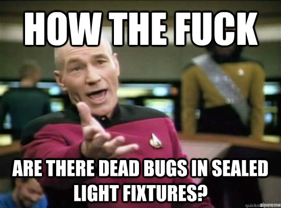 how the fuck are there dead bugs in sealed light fixtures - Annoyed Picard HD