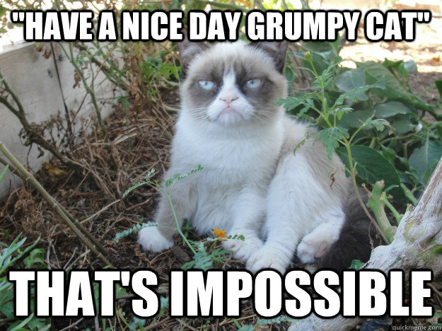 have a nice day grumpy cat thats impossible - grumpy cat