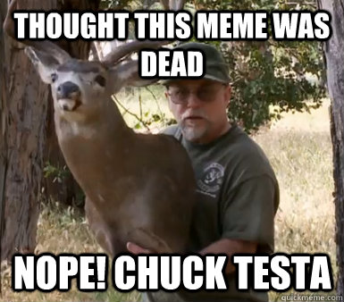 thought this meme was dead nope chuck testa - Chuck Testa