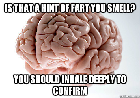 is that a hint of fart you smell you should inhale deeply t - Scumbag Brain