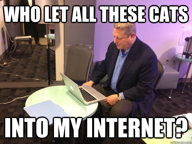 who let all these cats into my internet - 