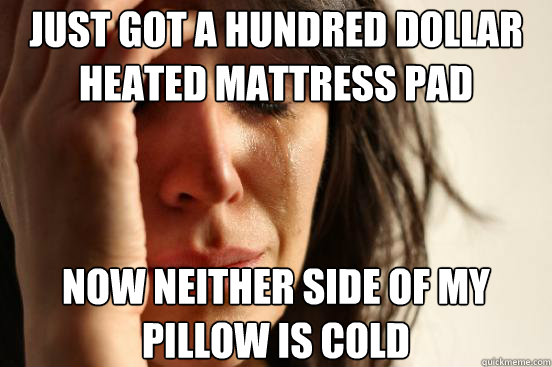 just got a hundred dollar heated mattress pad now neither si - First World Problems