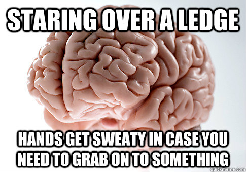 staring over a ledge hands get sweaty in case you need to gr - Scumbag Brain
