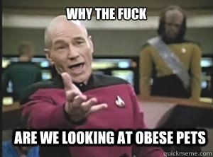 why the fuck are we looking at obese pets - Annoyed Picard