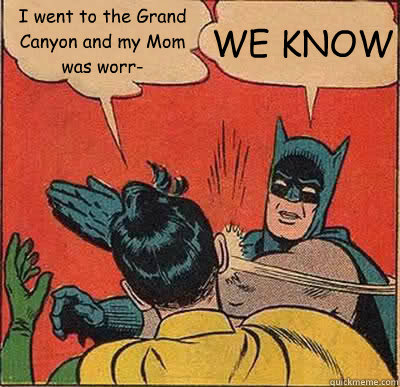 i went to the grand canyon and my mom was worr we know - Batman Slapping Robin