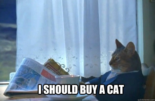 i should buy a cat - Sophisticated Cat