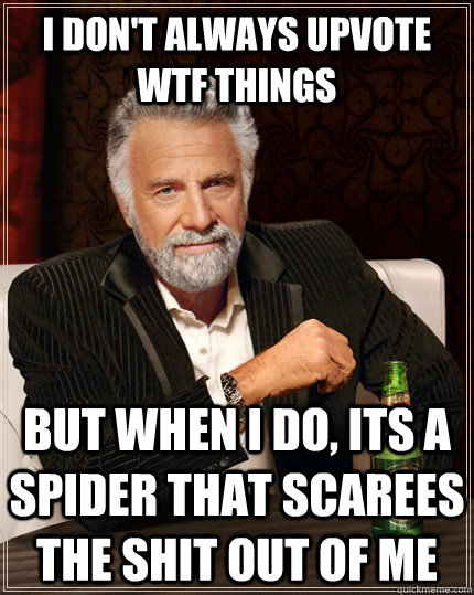 i dont always upvote wtf things but when i do its a spider - The Most Interesting Man In The World