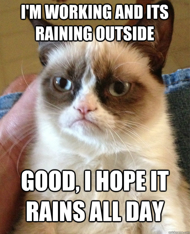 im working and its raining outside good i hope it rains al - Grumpy Cat