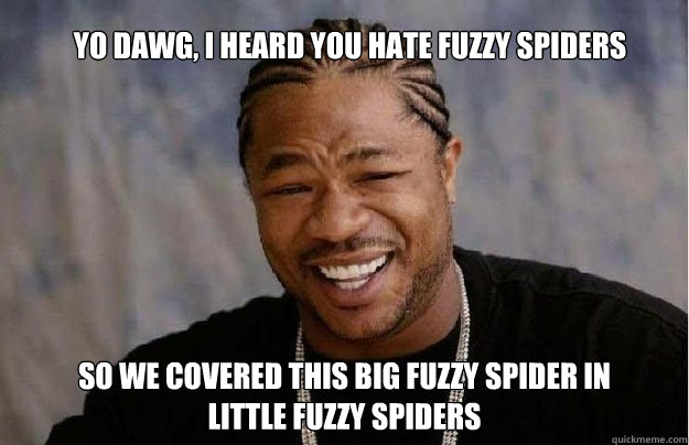 yo dawg i heard you hate fuzzy spiders so we covered this b - Yo Dawg 1