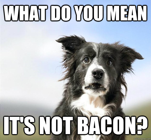 what do you mean its not bacon -
