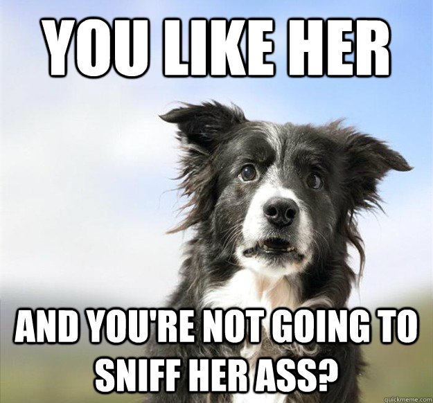 you like her and youre not going to sniff her ass -