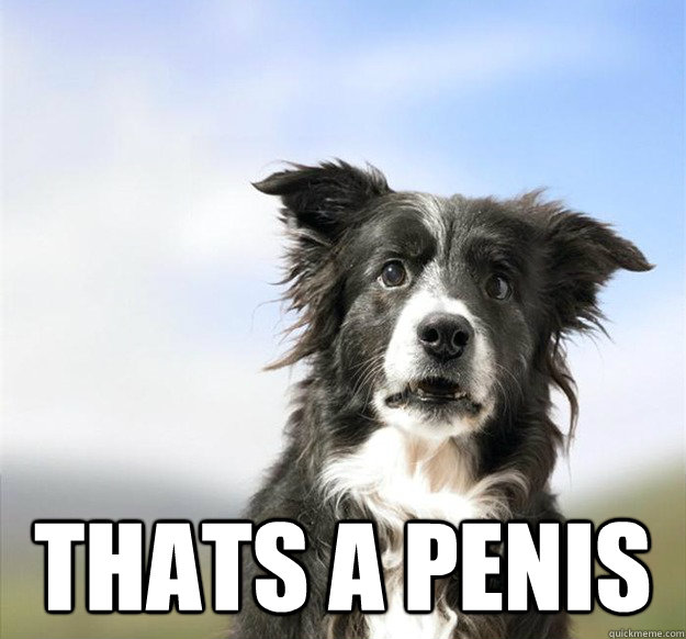 thats a penis -